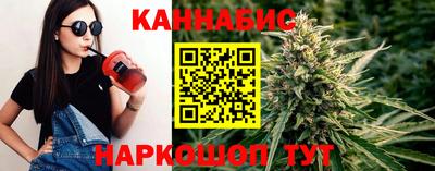 амф Новозыбков
