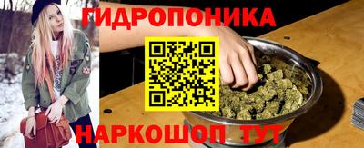 амф Новозыбков