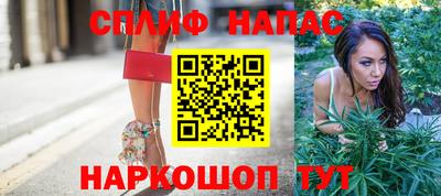 стаф Новодвинск