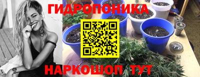 стаф Новодвинск