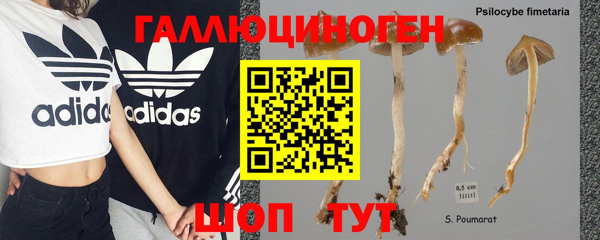 Галлюциногенные грибы Psilocybe  Вход с VPN  Галлюциногенные грибы Magic Shrooms  Бахчисарай 